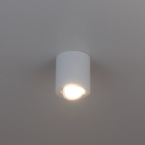 Светильник потолочный Citilux Дюрен CL538111