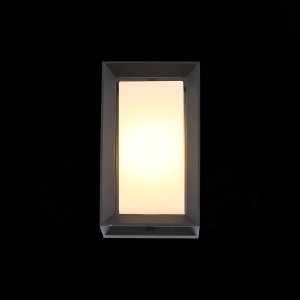 Уличный LED настенный светильник ST Luce Cubista SL077.411.01