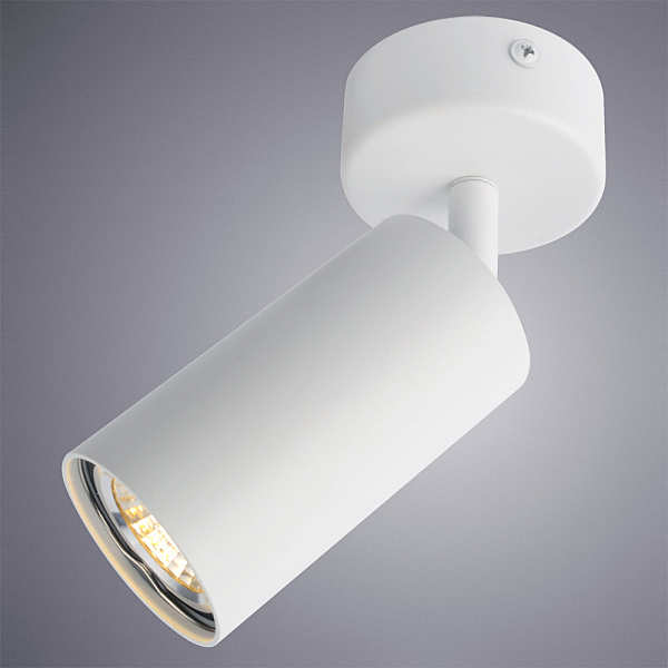 Светильник спот Arte Lamp Aquarius A3216PL-1WH