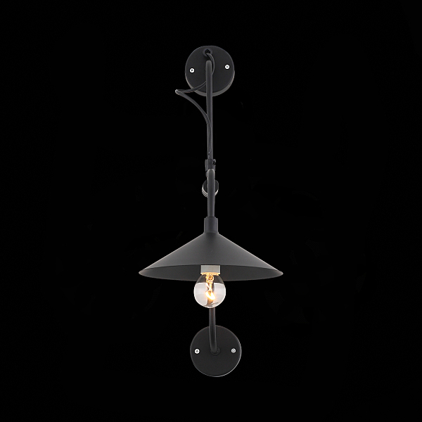 Настенное бра ST Luce Sсarno SL265.401.01