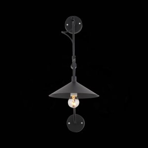 Настенное бра ST Luce Sсarno SL265.401.01