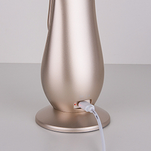 Настольная лампа Elektrostandart Orbit золотой (TL90420)