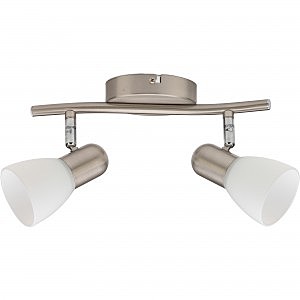 Светильник спот Toplight Violet TL1231Y-02SN