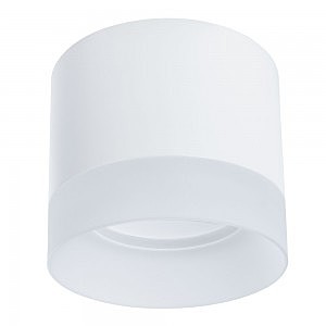 Накладной светильник Arte Lamp Castor A5554PL-1WH