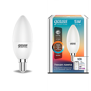 Светодиодная лампа Gauss Smart Home Свеча 1110112
