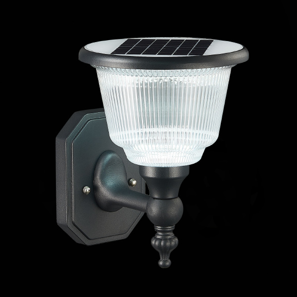 Уличный настенный светильник ST Luce Solaris SL9502.401.01