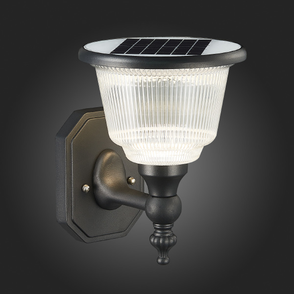 Уличный настенный светильник ST Luce Solaris SL9502.401.01