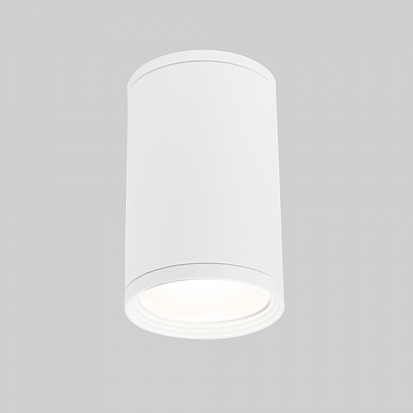 Накладной светильник Elektrostandard Light 2101 Light 2101 (35128/H) белый