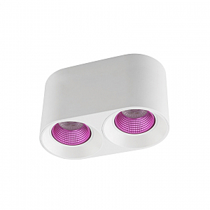 Накладной светильник Denkirs Dk3020Wpi DK3096-WH+PI