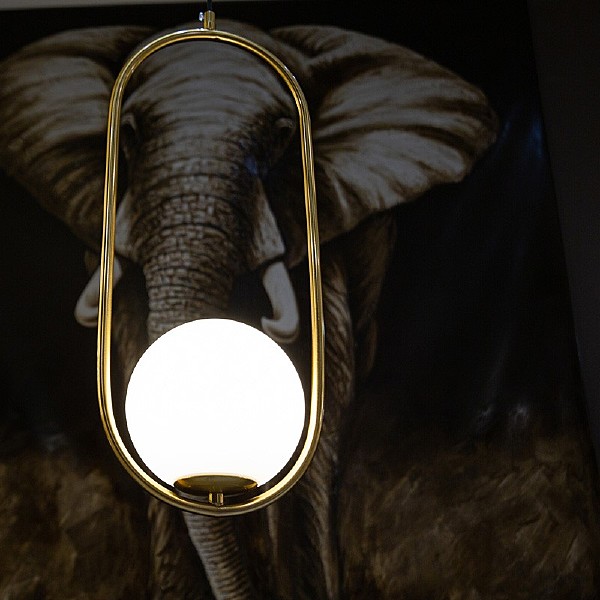 Светильник подвесной L'Arte Luce Luxury Gosca L54503.86