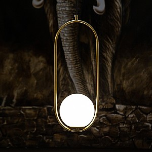 Светильник подвесной L'Arte Luce Luxury Gosca L54503.86