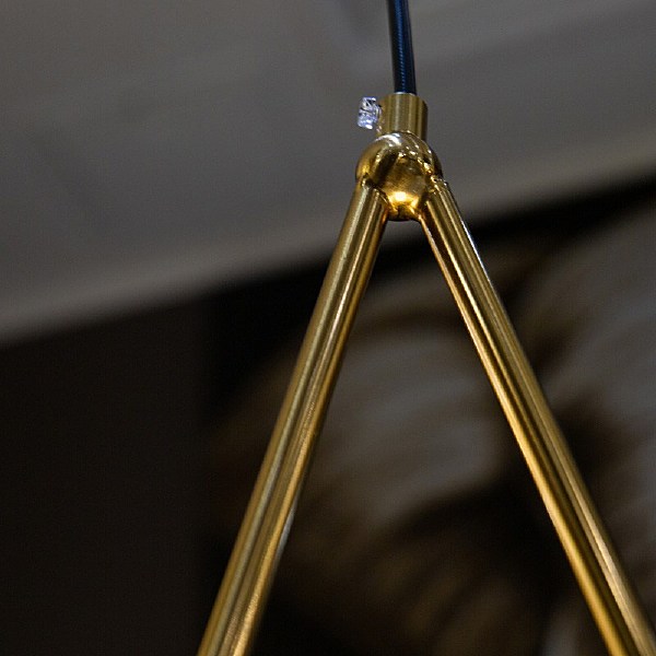 Светильник подвесной L'Arte Luce Luxury Gosca L54505.86