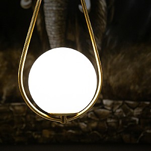Светильник подвесной L'Arte Luce Luxury Gosca L54505.86