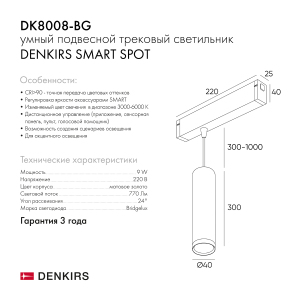 Трековый светильник Denkirs Smart Spot DK8008-BG