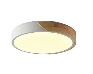 Светильник потолочный Zortes Alberro ZRS.01289.24
