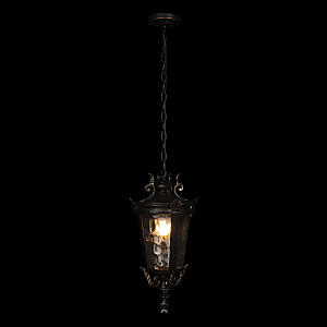 Уличный подвесной светильник Loft It Verona 100003P