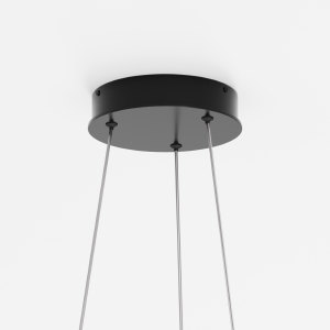 Подвесная люстра Maytoni Rim MOD058PL-L32BK