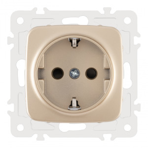 Розетка Arte Milano Am-205 205.40-1.shampan