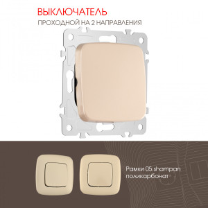 Выключатель Arte Milano Am-205 205.32-1.shampan