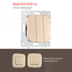 Выключатель Arte Milano Am-205 205.30-3.shampan