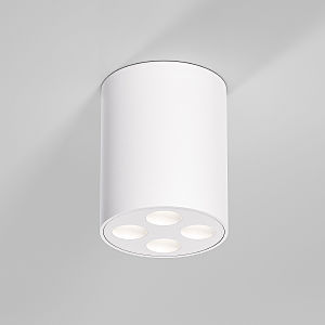 Накладной светильник Elektrostandard Points 25111/LED 7W 4000K белый