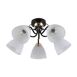 Потолочная люстра ЭкономСвет 12182 12182/5MBK+FGD WT